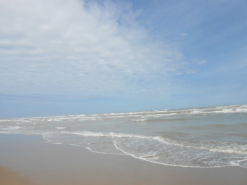 photo 842178