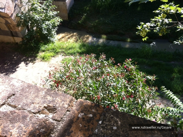 photo 842652