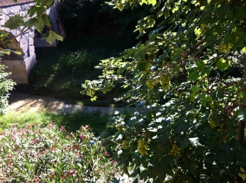 photo 842657