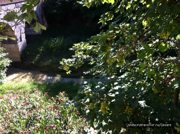 photo 842657