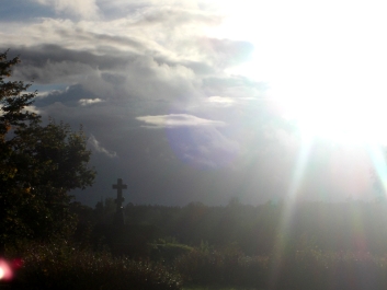 photo 274529