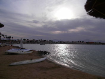 photo 631614