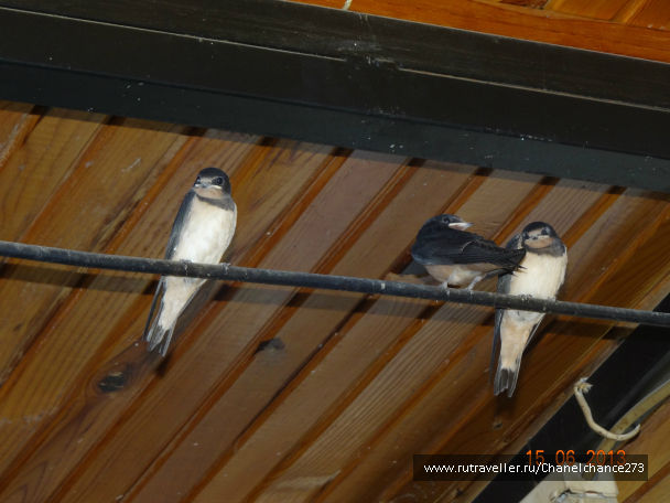 photo 627097