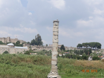 photo 627098