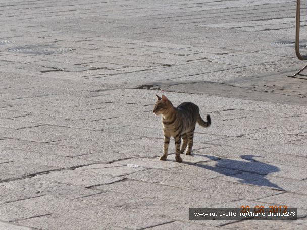 photo 627262