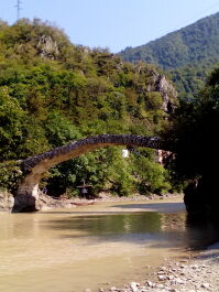 photo 1695238
