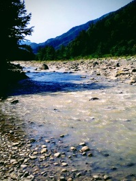 photo 1695240