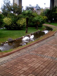 photo 1691892