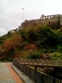 photo 1691895