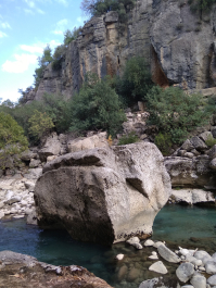 photo 1736064