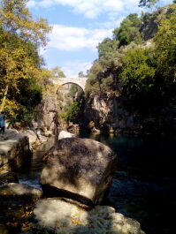 photo 1736067