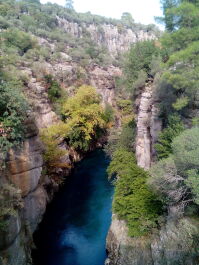 photo 1736069