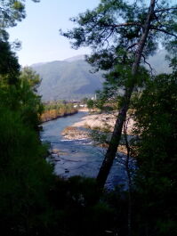 photo 1736070