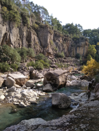photo 1736075