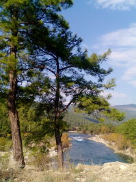 photo 1736076
