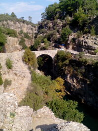 photo 1736303