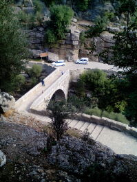photo 1736304