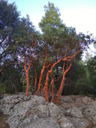 photo 1736305