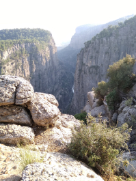photo 1736307