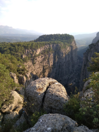 photo 1736309