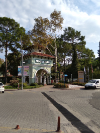 photo 1738251