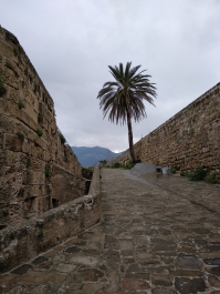 photo 1752108
