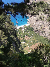 photo 1776270
