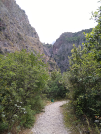 photo 1777668