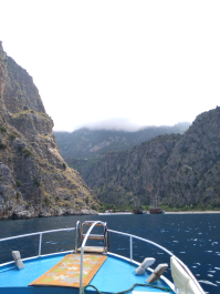photo 1777672