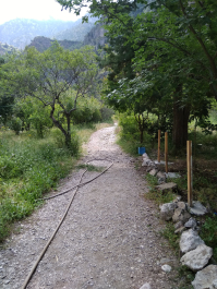 photo 1781704