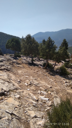 photo 1828627