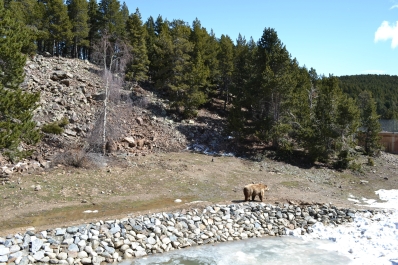 photo 930946