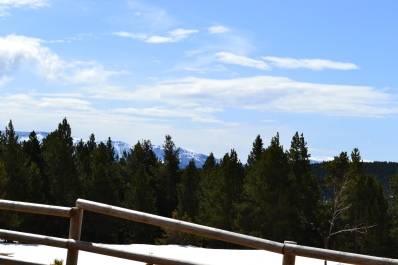 photo 930947
