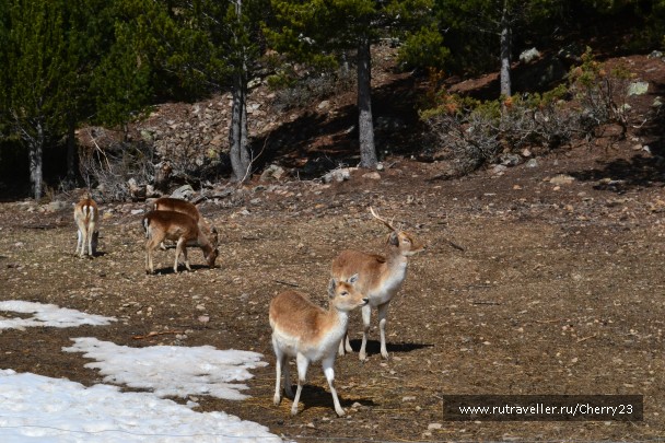 photo 930948