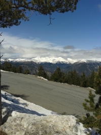 photo 930963