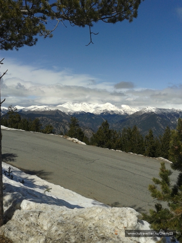 photo 930963