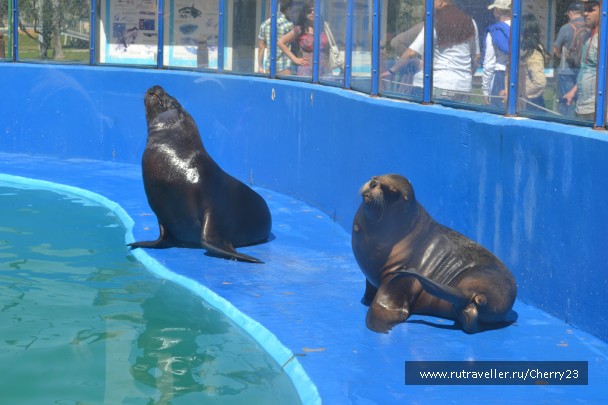 photo 931071