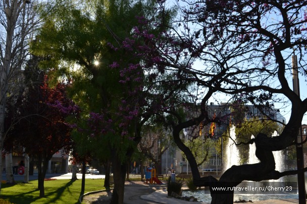 photo 931629