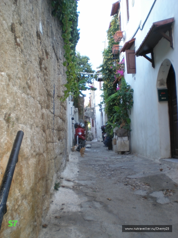 photo 931903