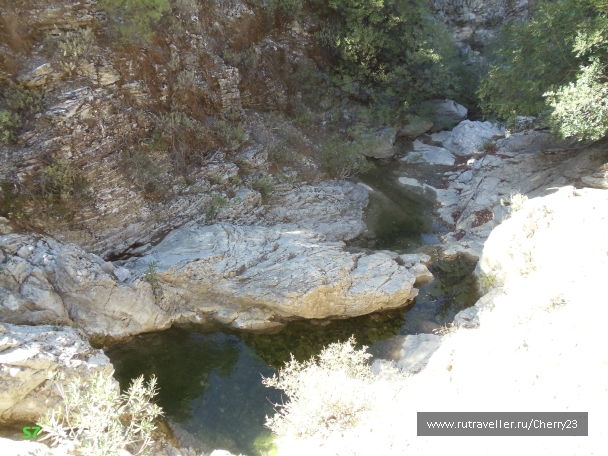 photo 931942
