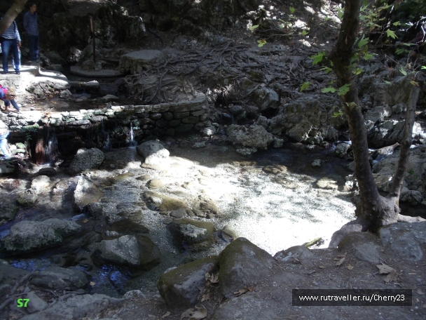 photo 931945