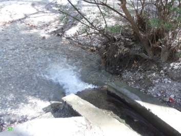 photo 931951