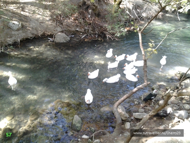 photo 931995