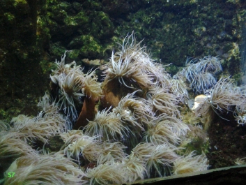 photo 932097