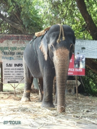 photo 932563