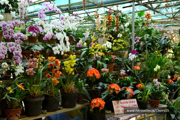 photo 1007775