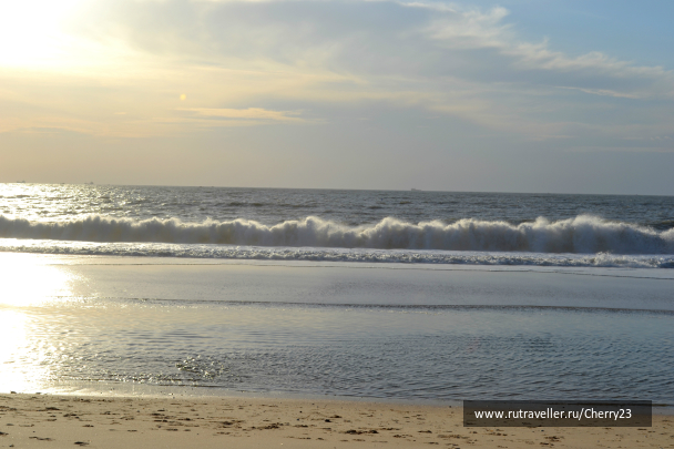 photo 1007781