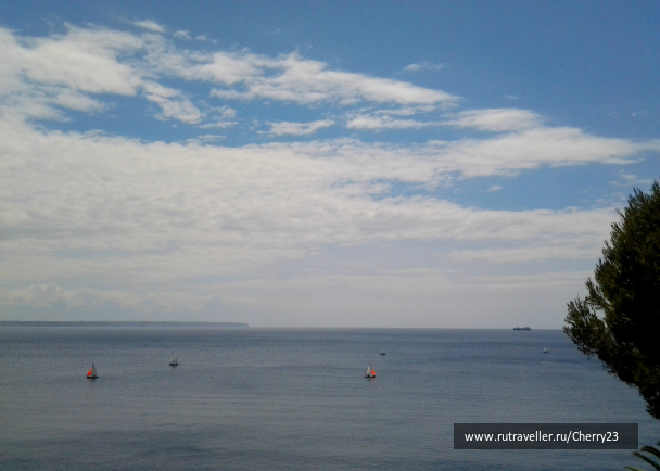 photo 1009323