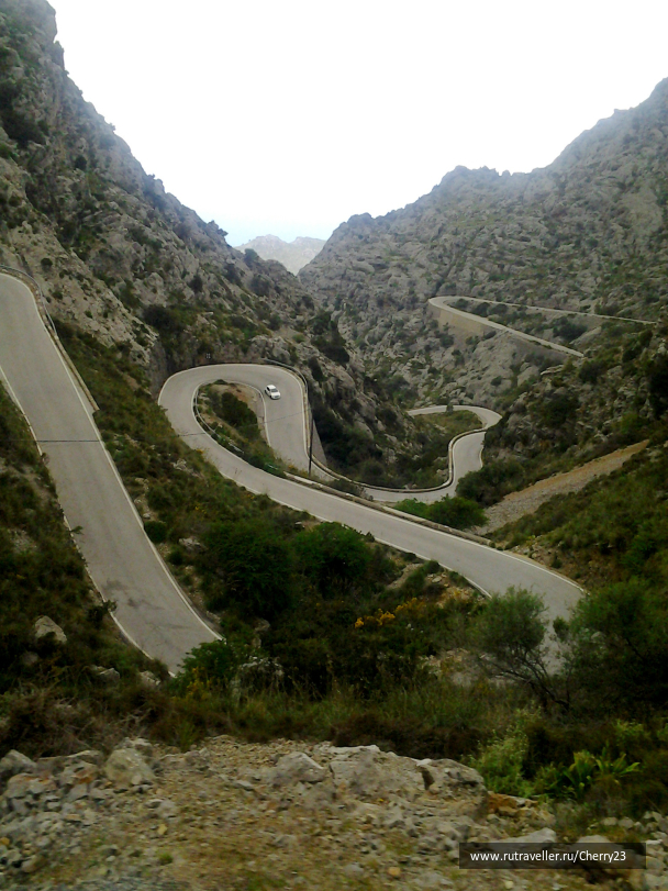 photo 1009335