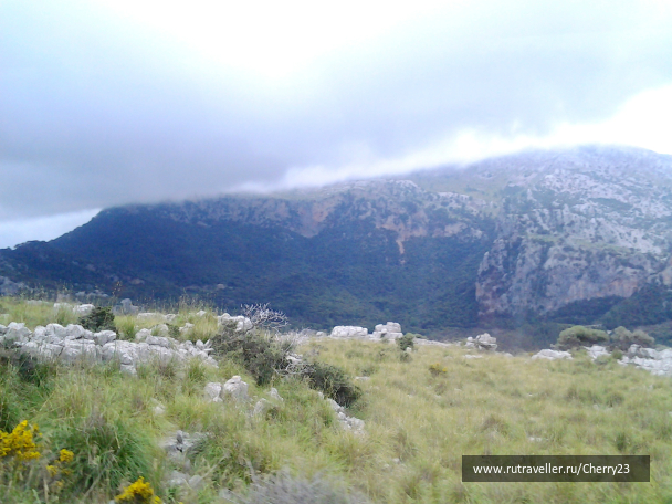 photo 1009337